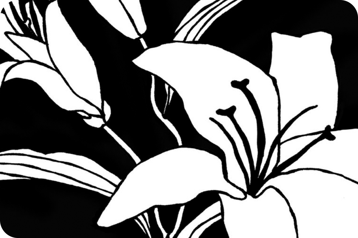 BUREAU MAISON — CREATIVE SERVICES