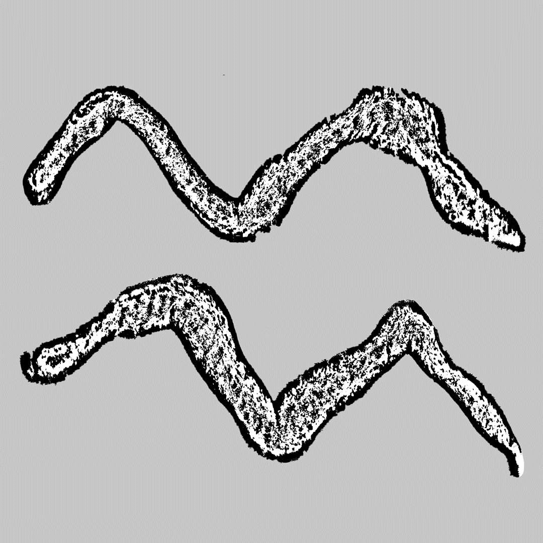 BUREAU MAISON — CREATIVE SERVICES