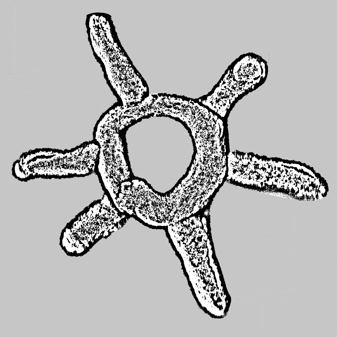 BUREAU MAISON — CREATIVE SERVICES