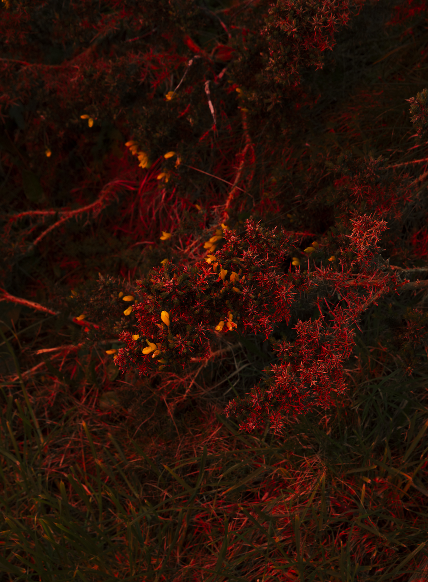 BUREAU MAISON — CREATIVE SERVICES