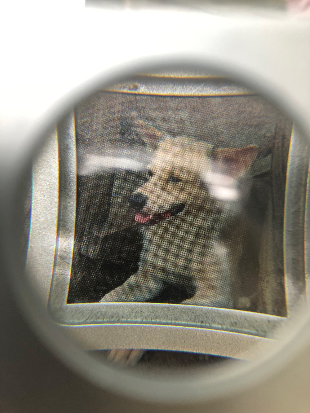 BUREAU MAISON — CREATIVE SERVICES