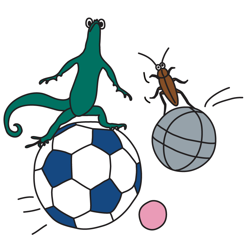 BUREAU MAISON — CREATIVE SERVICES