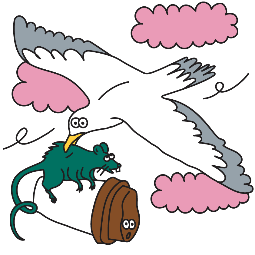 BUREAU MAISON — CREATIVE SERVICES